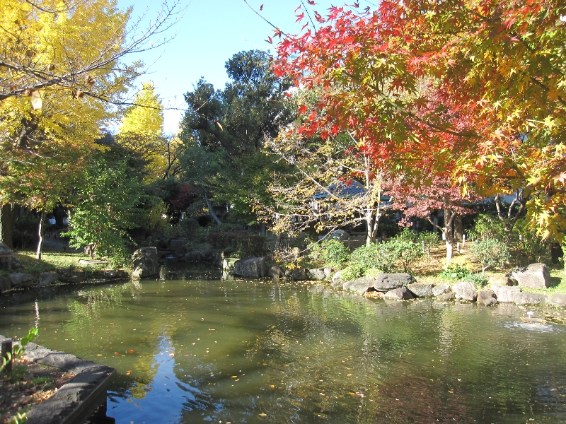 秋　日本庭園
