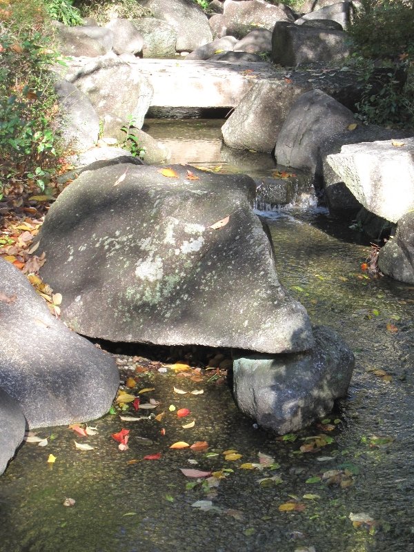 秋　日本庭園の流れ